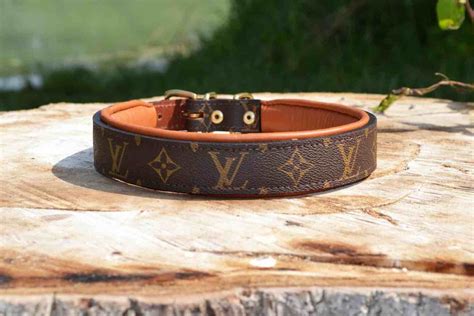 pet products louis vuitton|louis vuitton collar for dog.